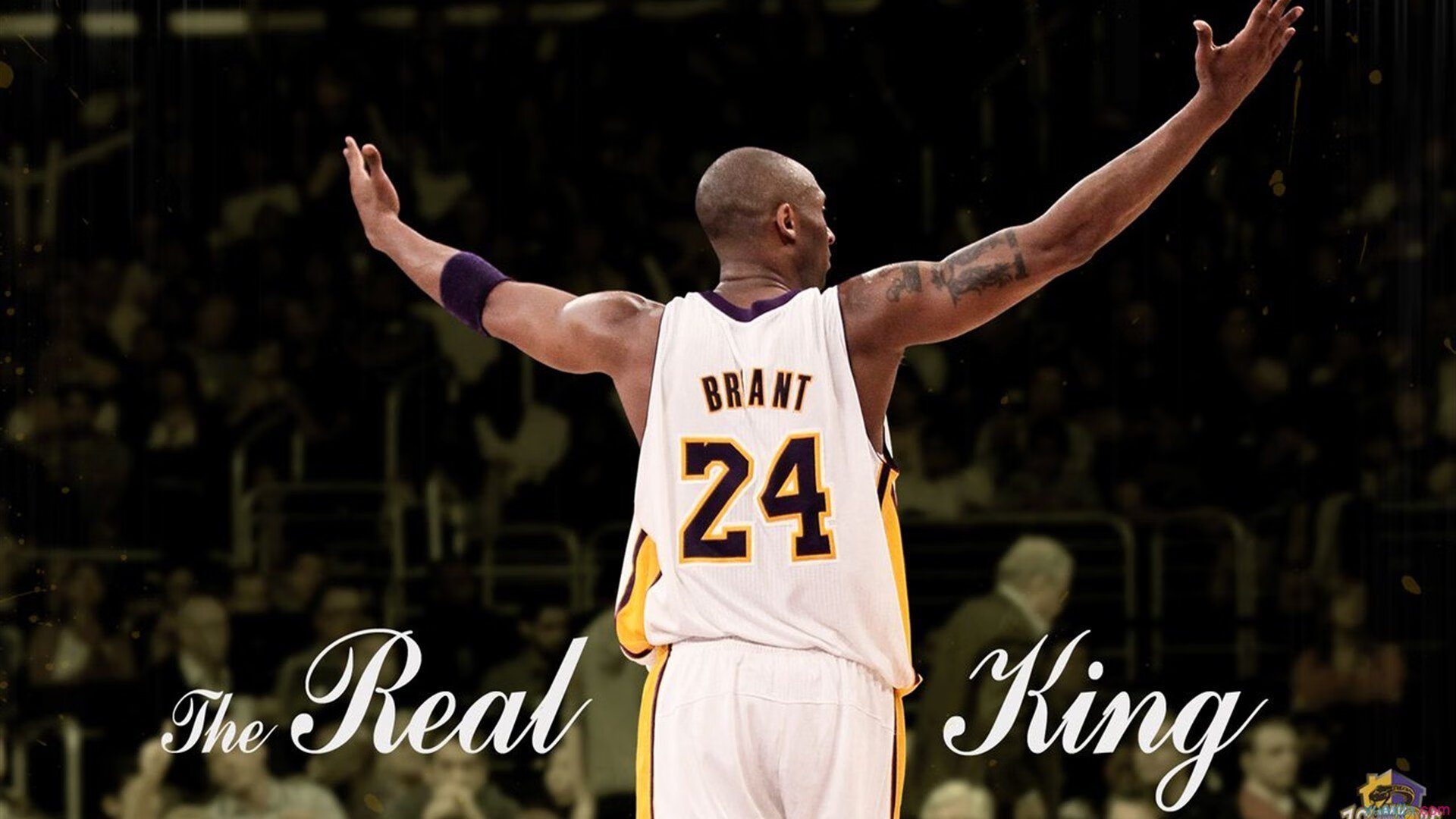 赛道与球场，速度与意志的双重奏